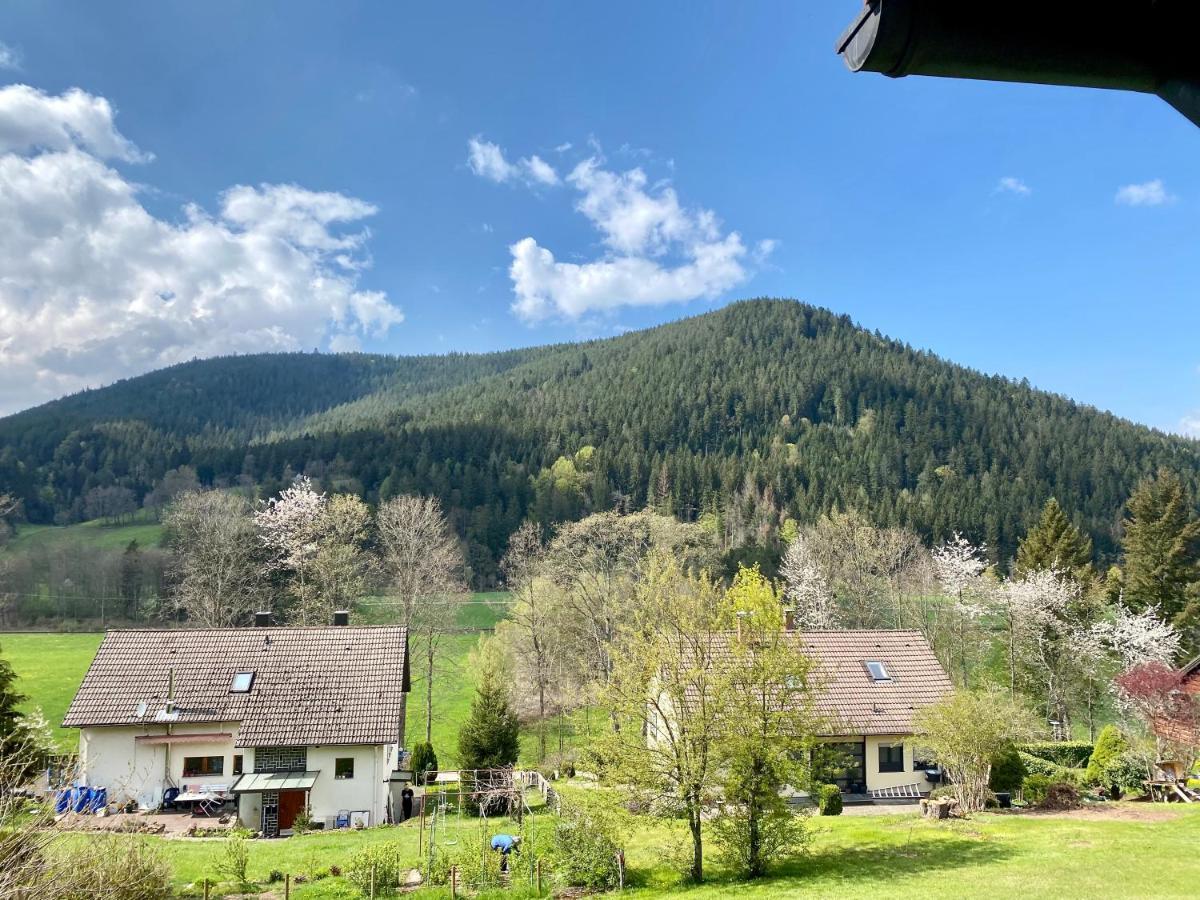 Black Forest Scenic Escape Baiersbronn Exteriér fotografie